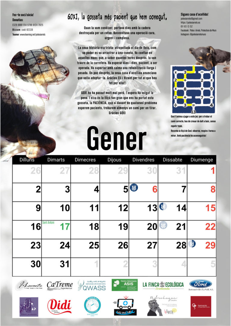 Solucions Gener