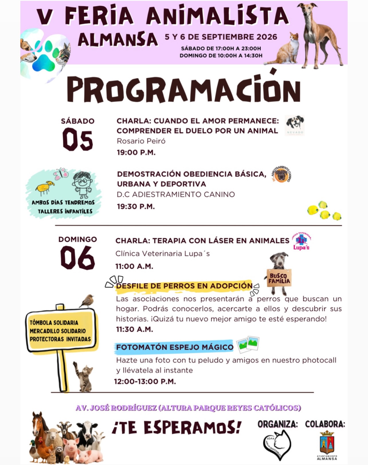 Asociación para la Defensa Animal AlmaCats (A.D.A.A Huellas Invisibles)